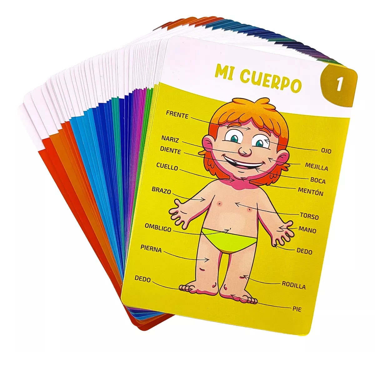 El cuerpo humano. Juego de cartas El cuerpo humano. Juego de cartas